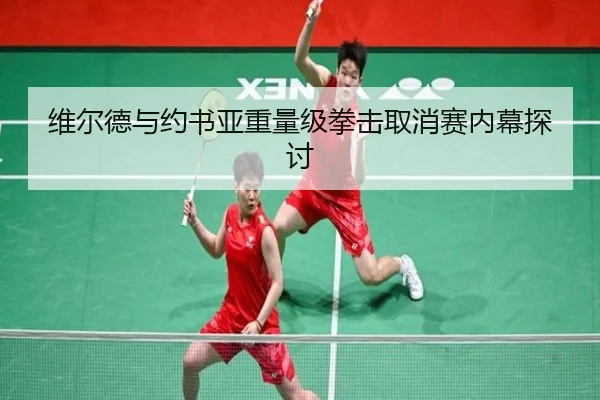 维尔德与约书亚重量级拳击取消赛内幕探讨